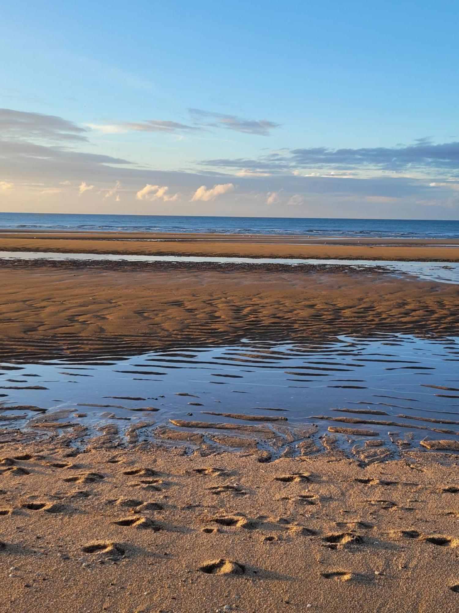 "Mon Evidence!" Magnifique Appartement Vue Mer Et Acces Direct A La Plage ヴィレ・シュル・メール エクステリア 写真